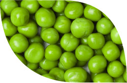 Peas - Product Masfrost