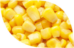 Kukurydza ziarno - Produkty Masfrost